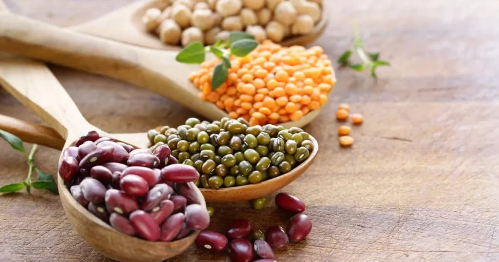 Greek Legumes Recipes - The Greek Schoo of Plato